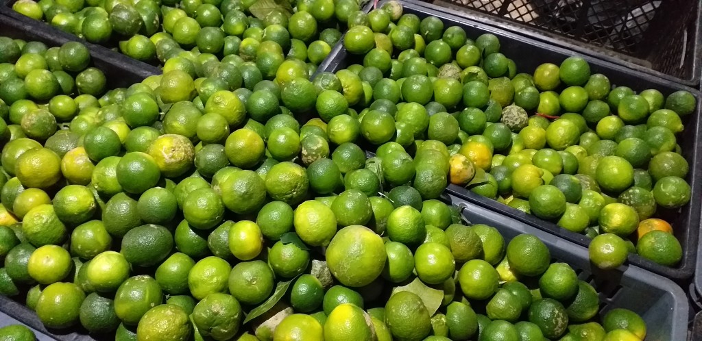 Limon mandarino