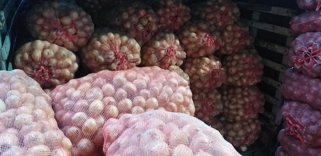 Cebolla blanca gruesa