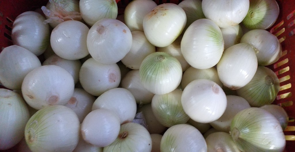 Cebolla blanca pelada