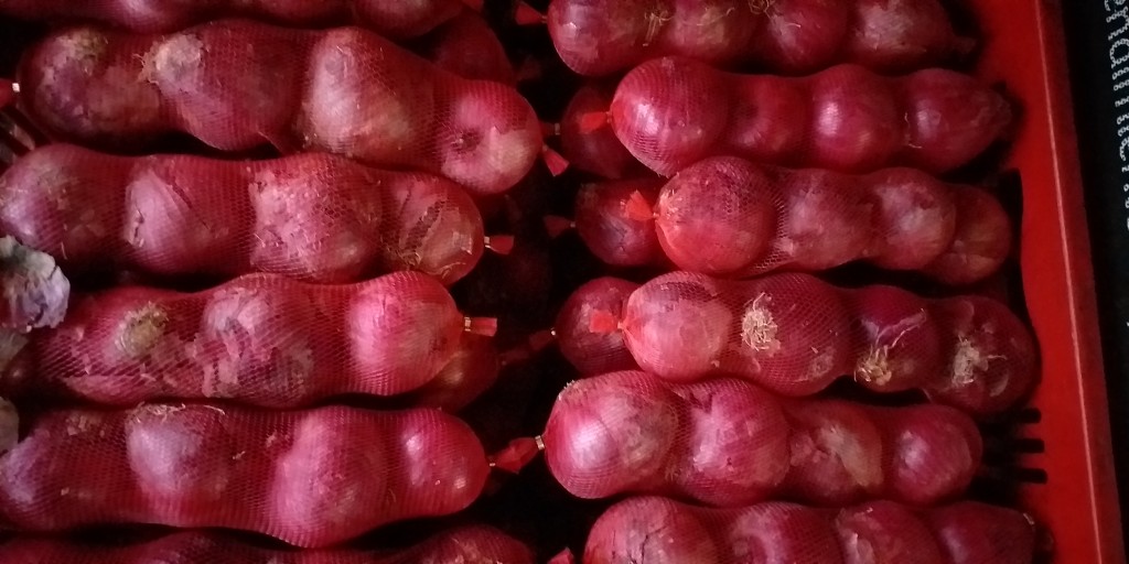 Cebolla en malla 4 pepas