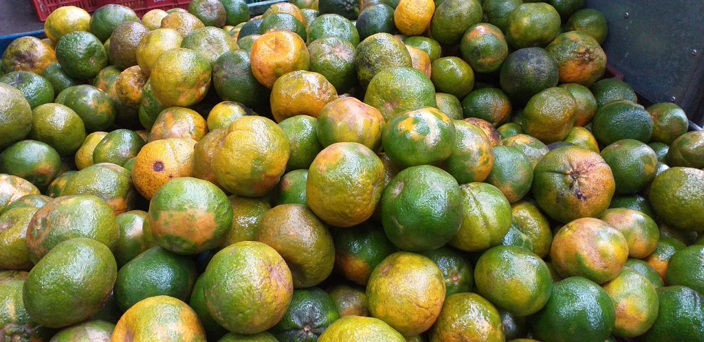 Mandarina oneco