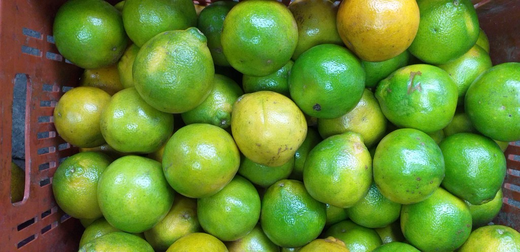 Naranja valencia 2da