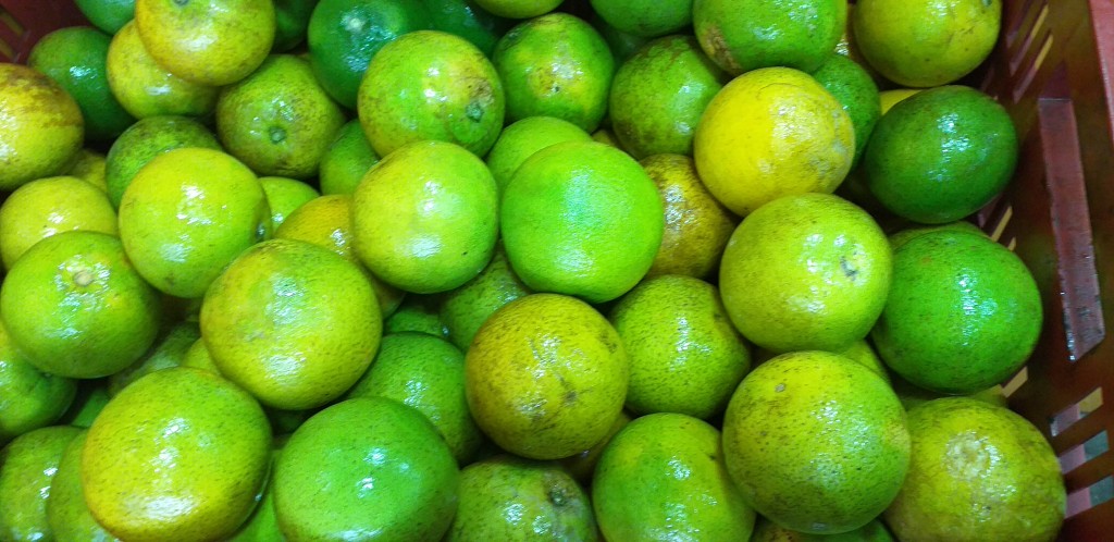 Naranja washington