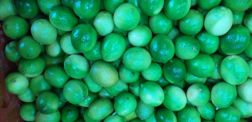 Limon tahiti 1ra