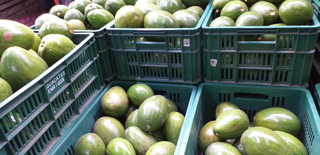 Aguacate choquette