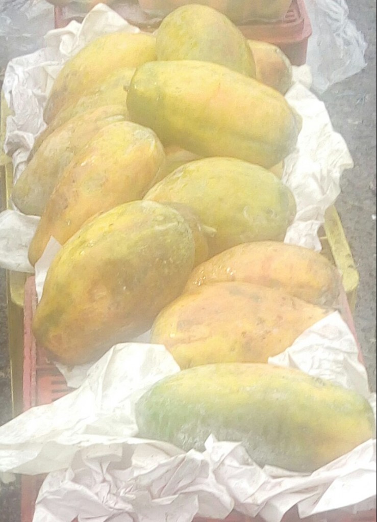 Papaya