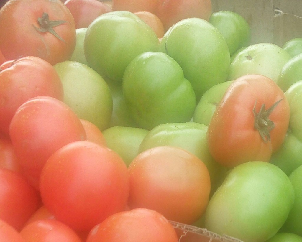Tomate