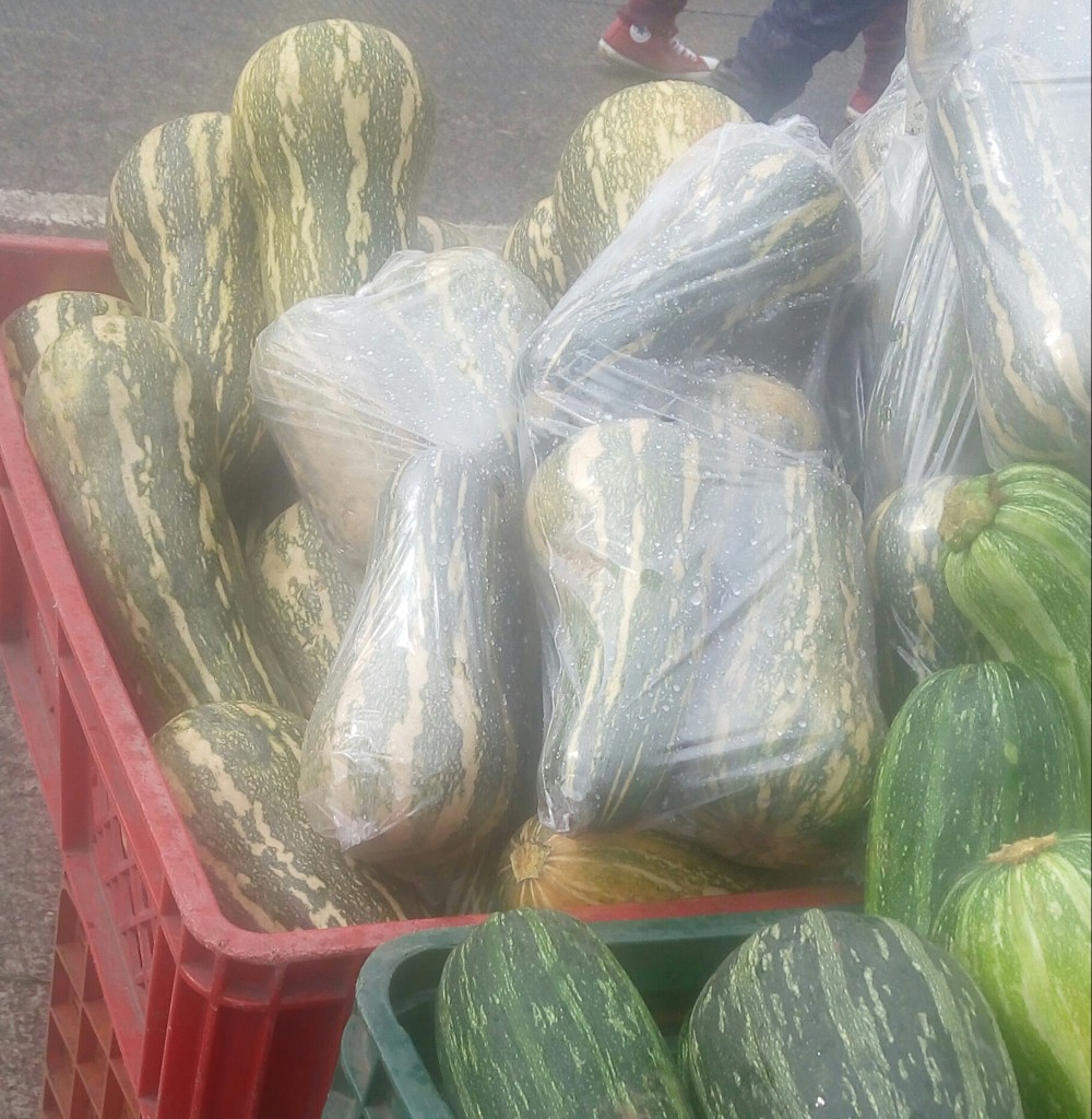 Ahuyama sapayo
