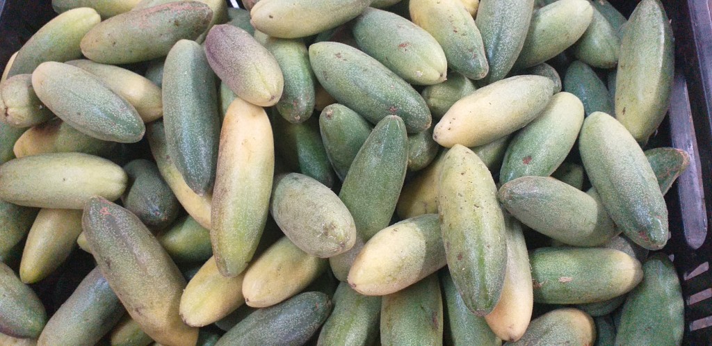 Curuba larga