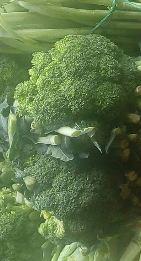 Brócoli