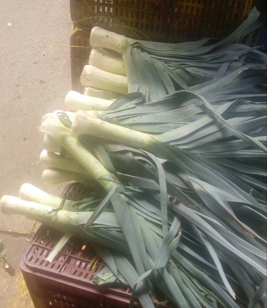 Cebolla puerro de segunda