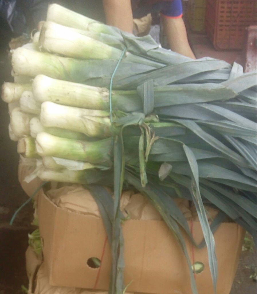 Cebolla puerro de primera