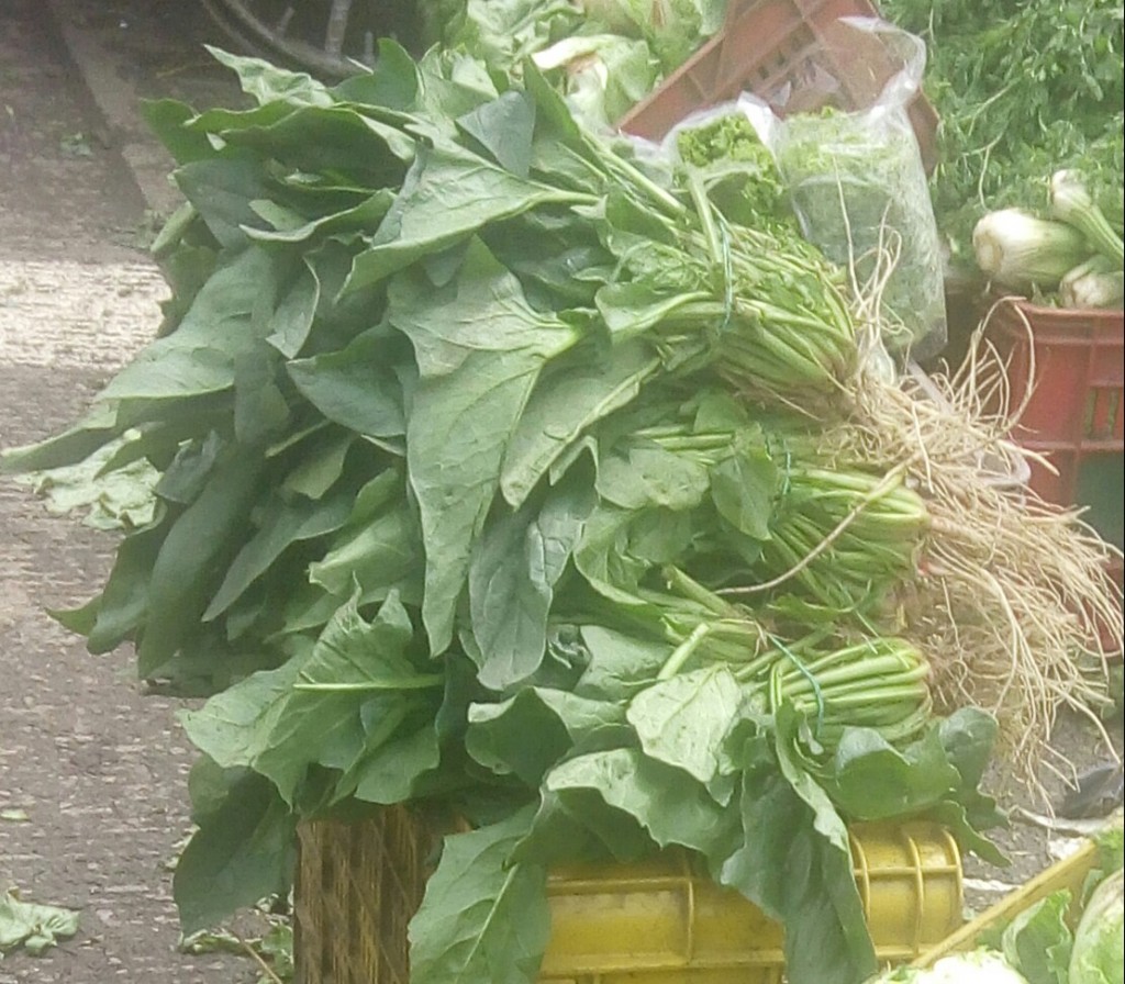 Espinacas