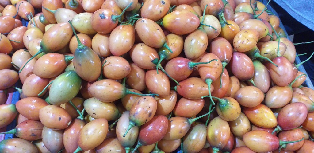 Tomate de arbol