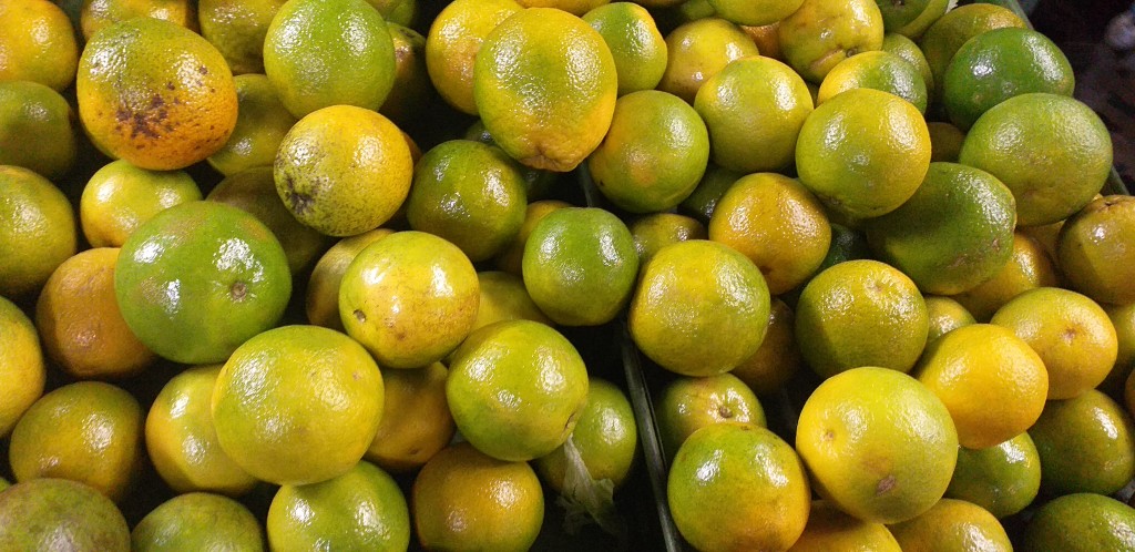 Naranja valencia