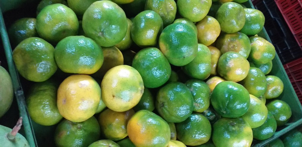 Mandarina oneco