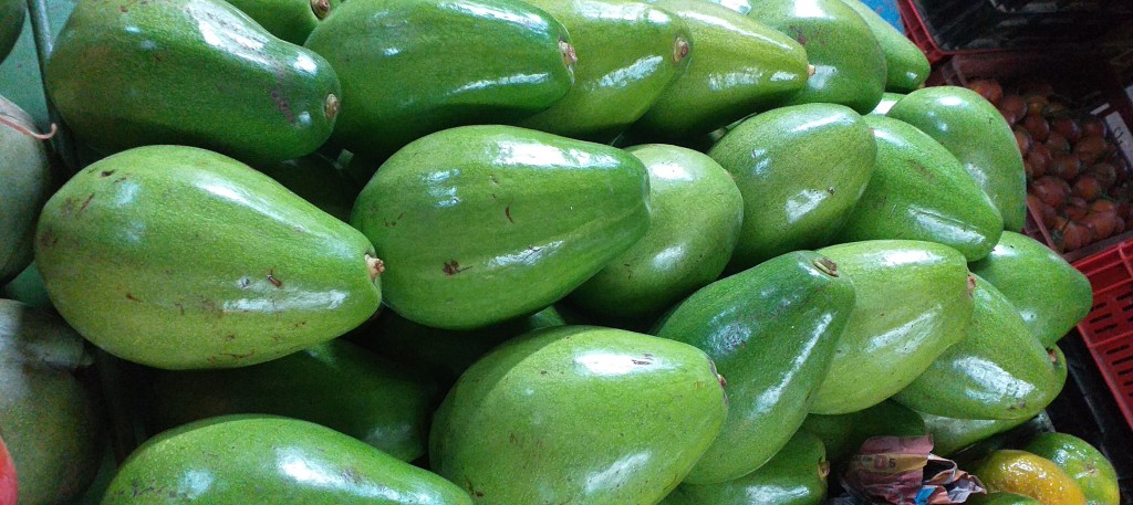 Aguacate papelillo