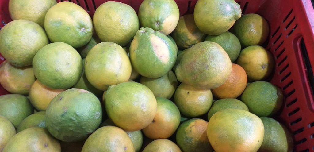 Naranja tangelo