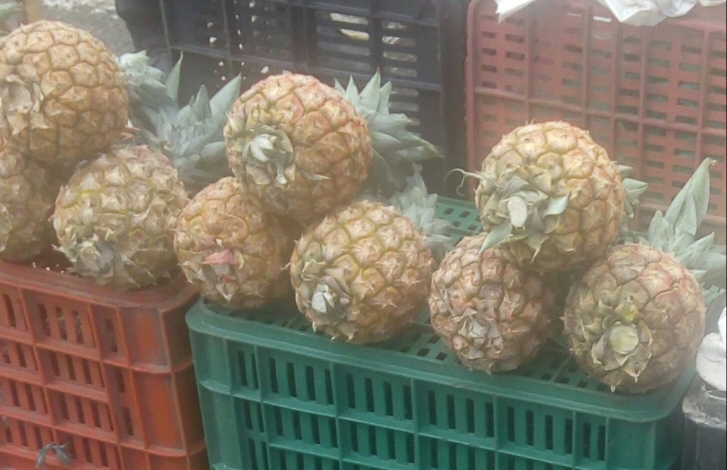 CorAbastos