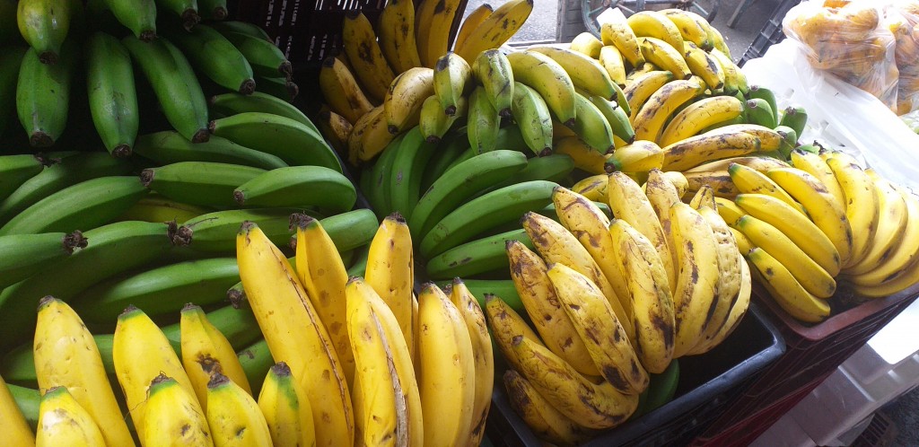 Banano criollo