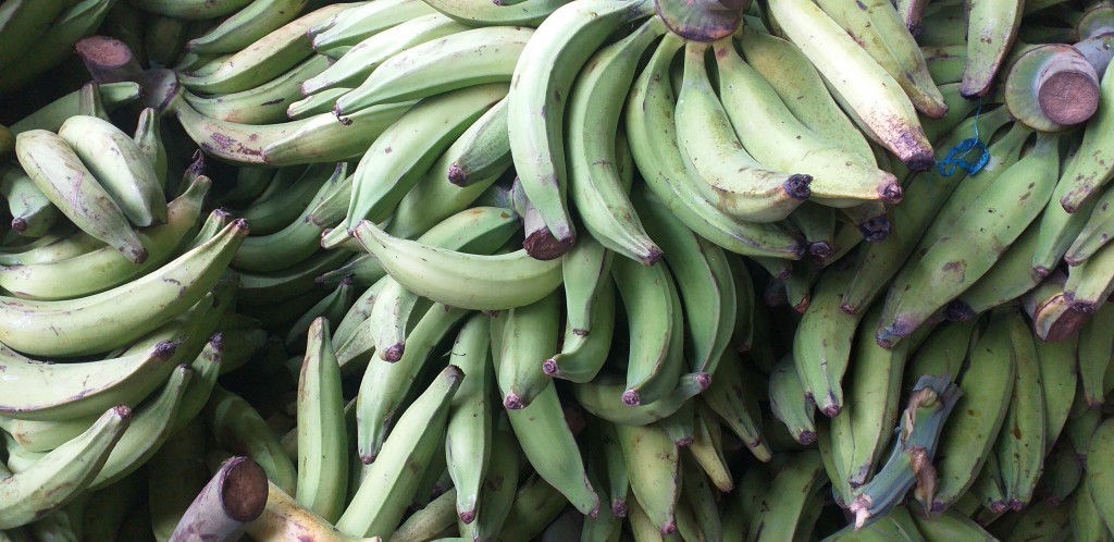 Platano verde