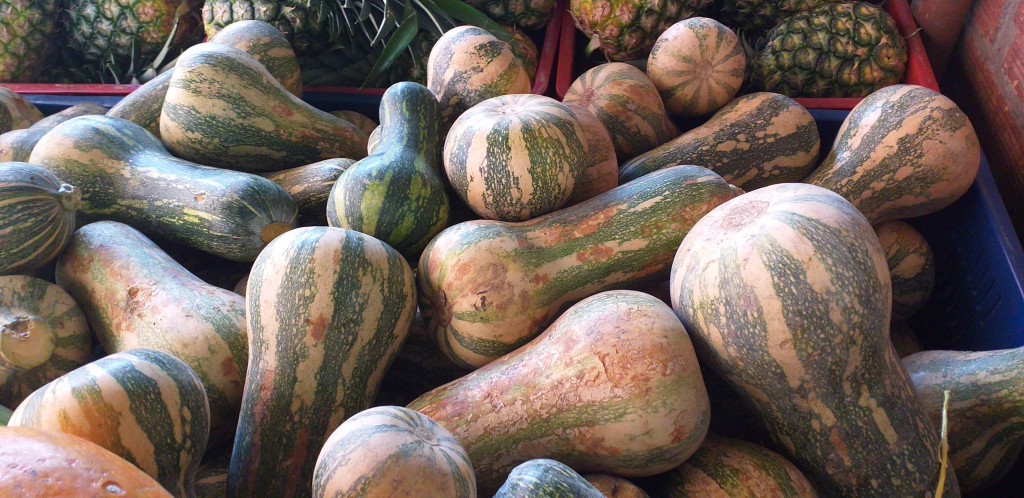 Ahuyama sakata
