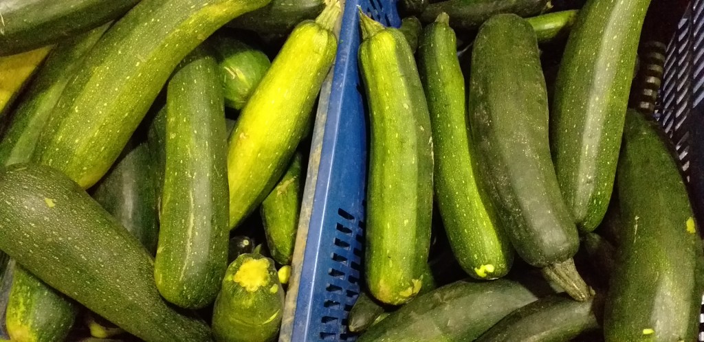 Zucchini verde