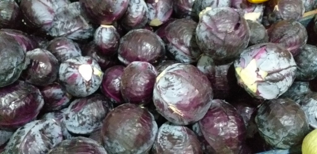 Repollo morado