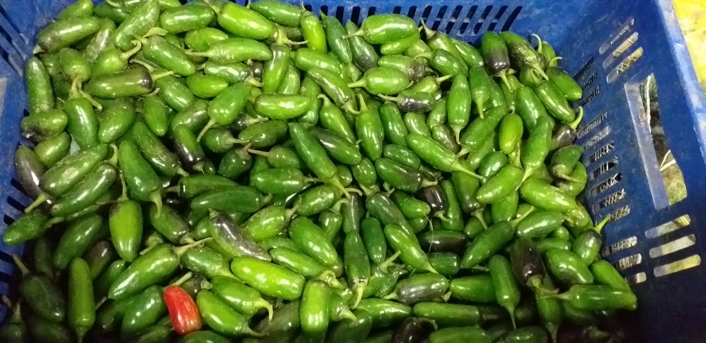 Jalapeño