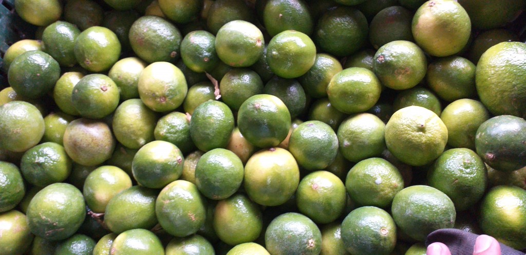 Limon tahiti delgado
