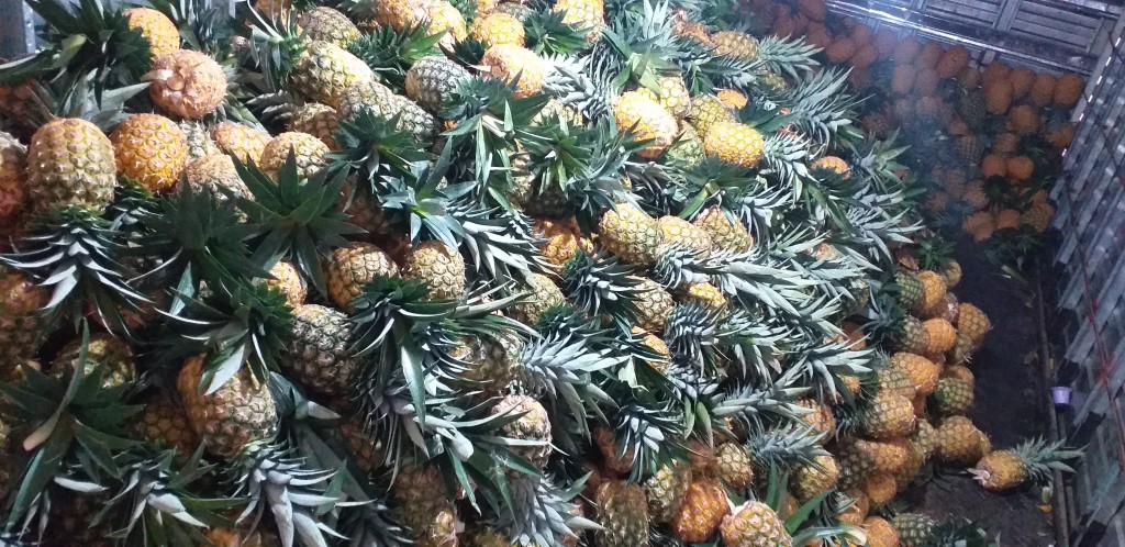 Piña oromiel