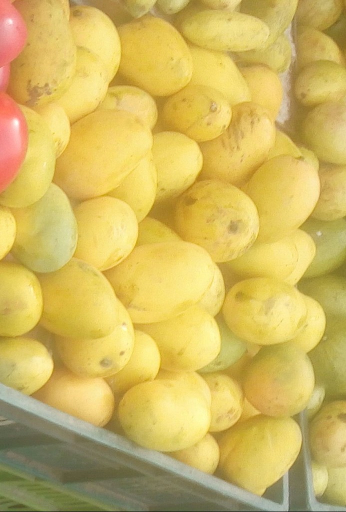 Mango de azúcar