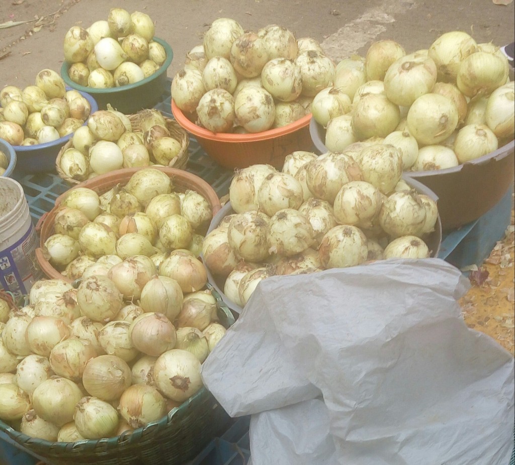 Cebolla cabezona