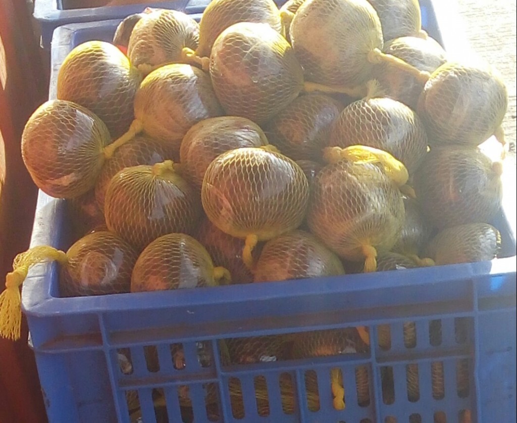 Borojo