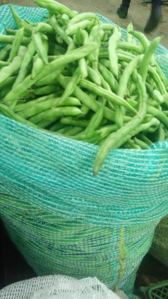 Habichuelas