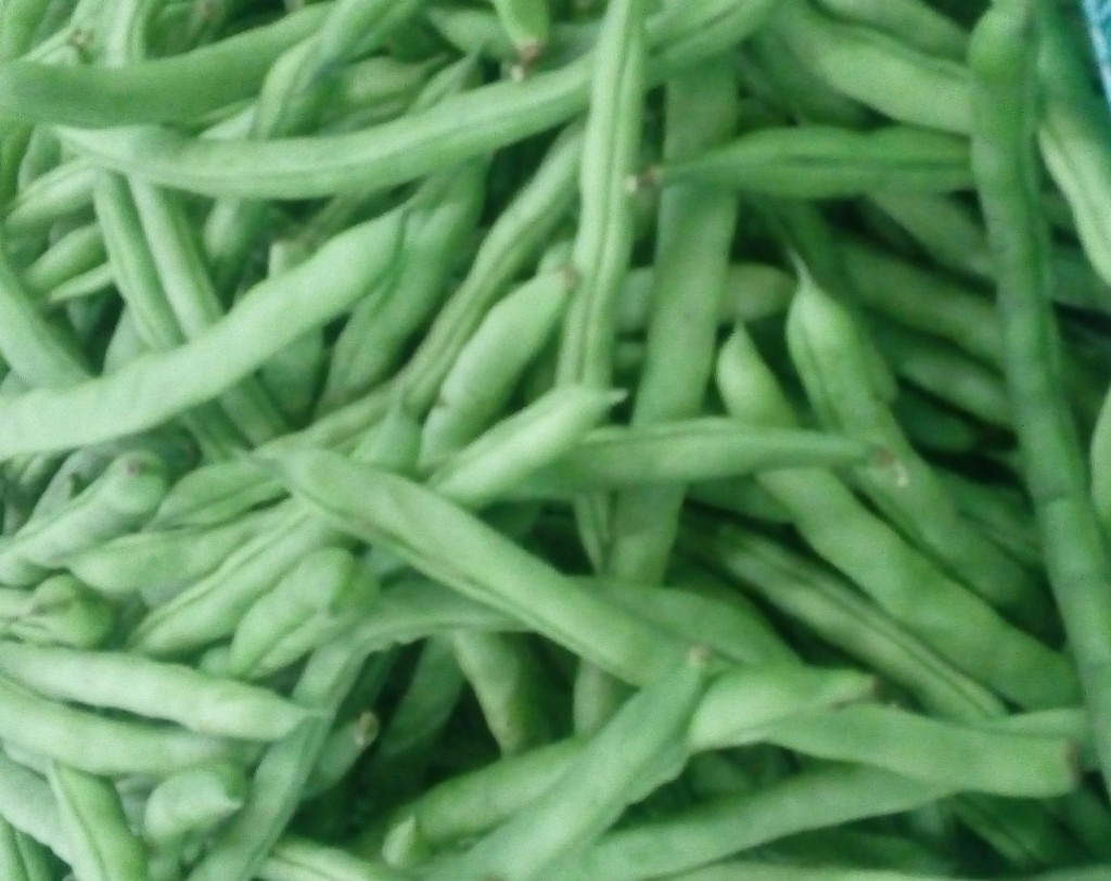 Habichuela