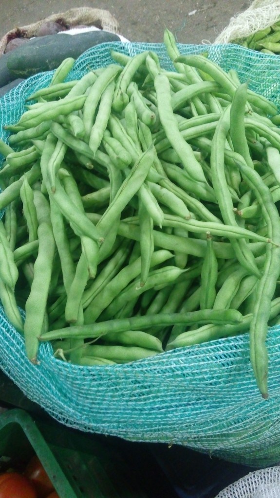 Habichuela