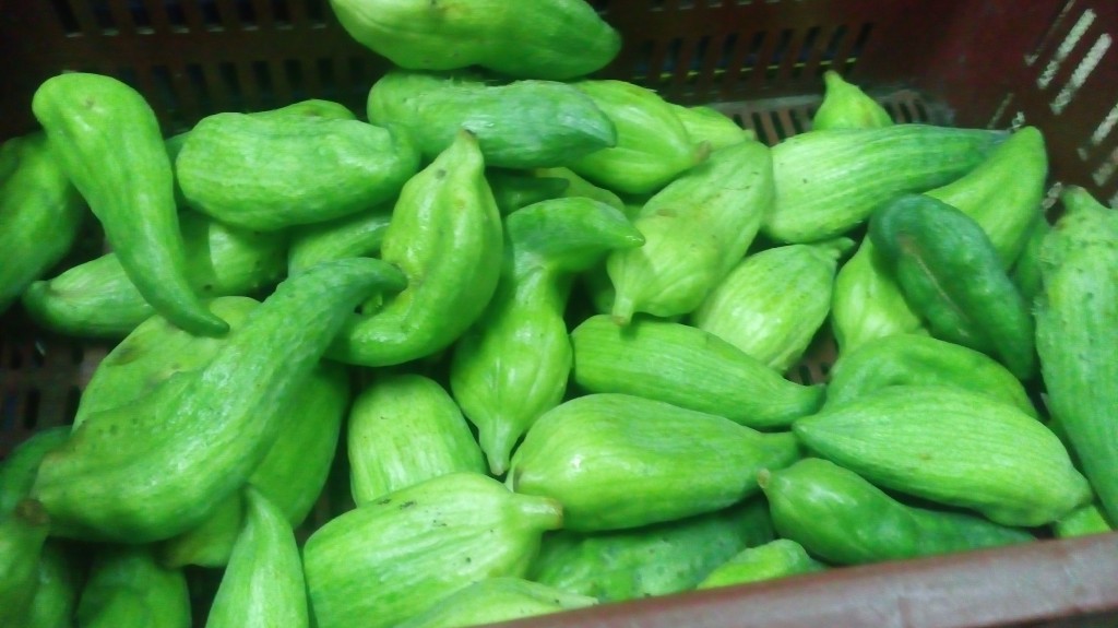 Pepino para guiso