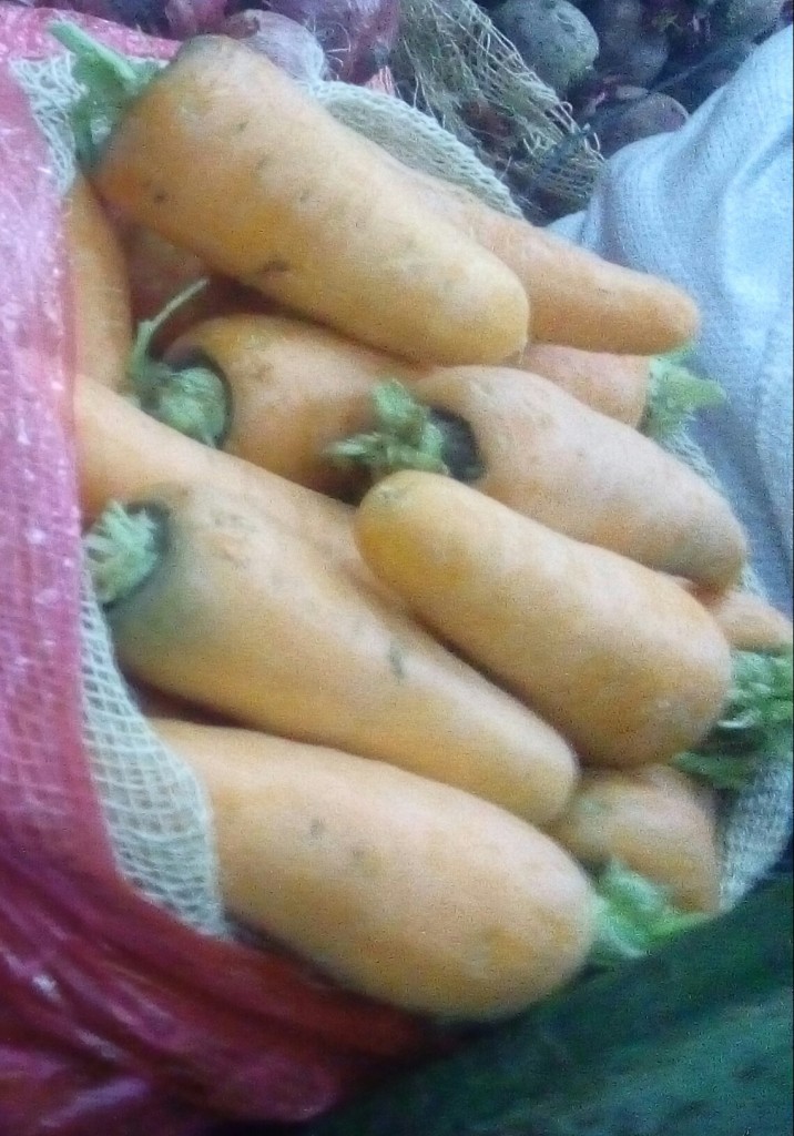 Zanahoria fina