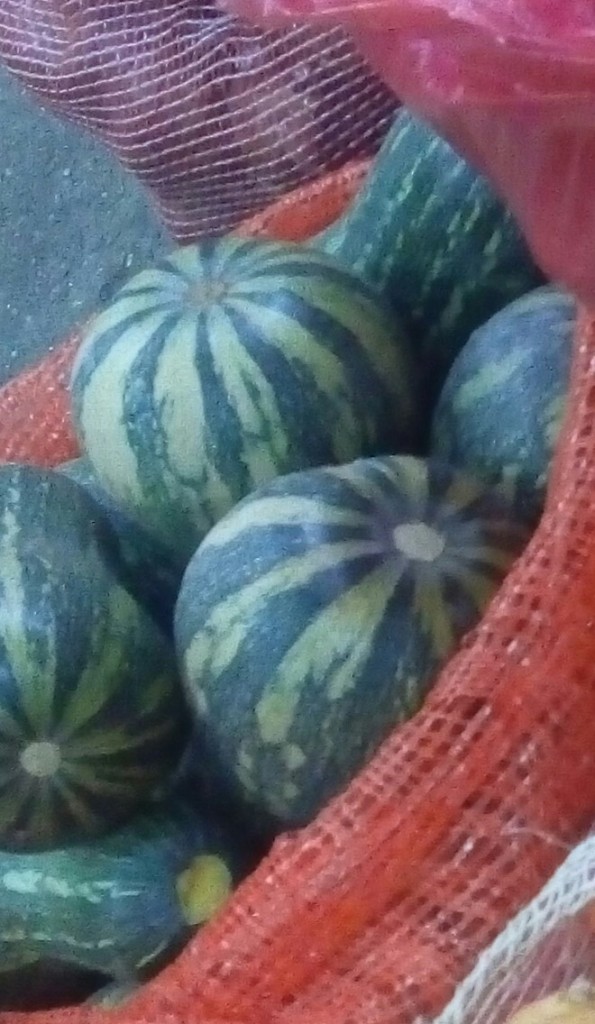Ahuyama sapayo