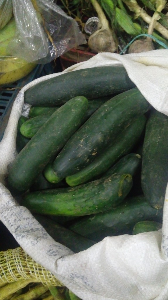 Pepino Cohombro