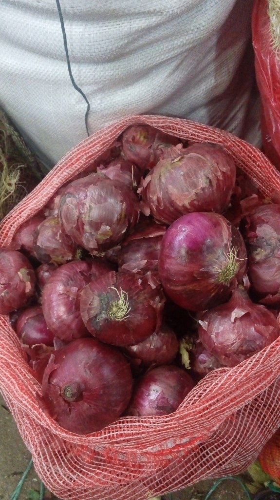 Cebolla cabezona morada
