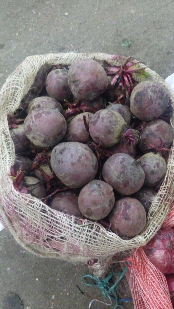 Remolacha