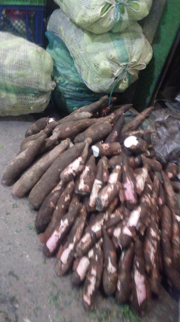Yuca