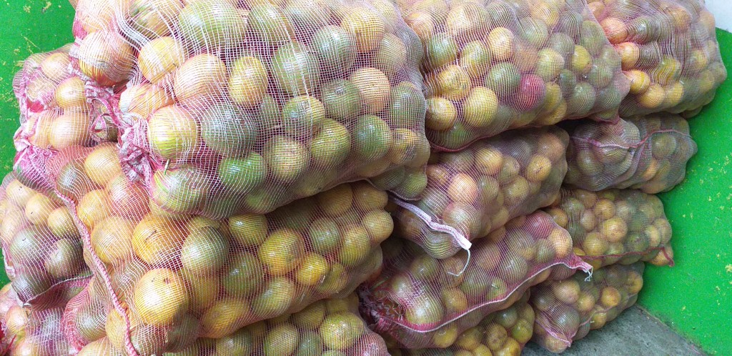Maracuya corriente