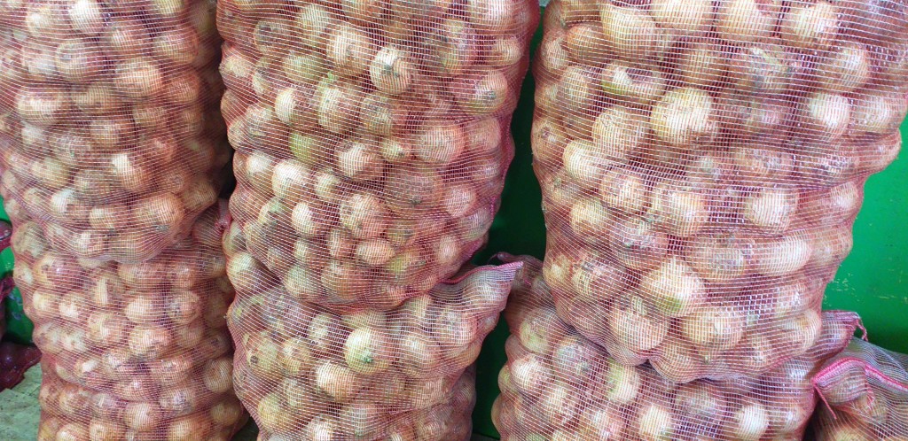 Cebolla blanca bogotana