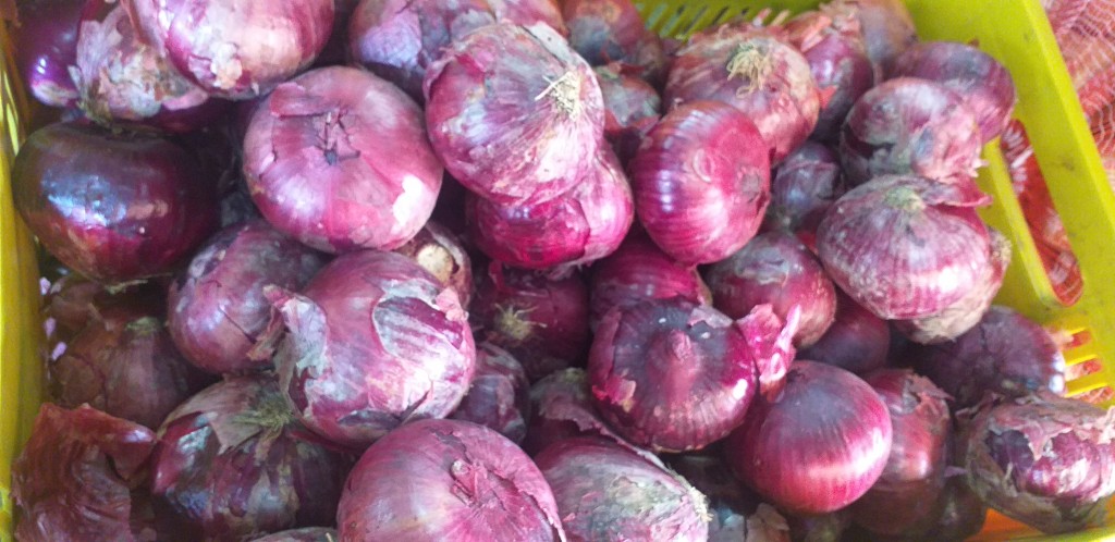 Cebolla roja