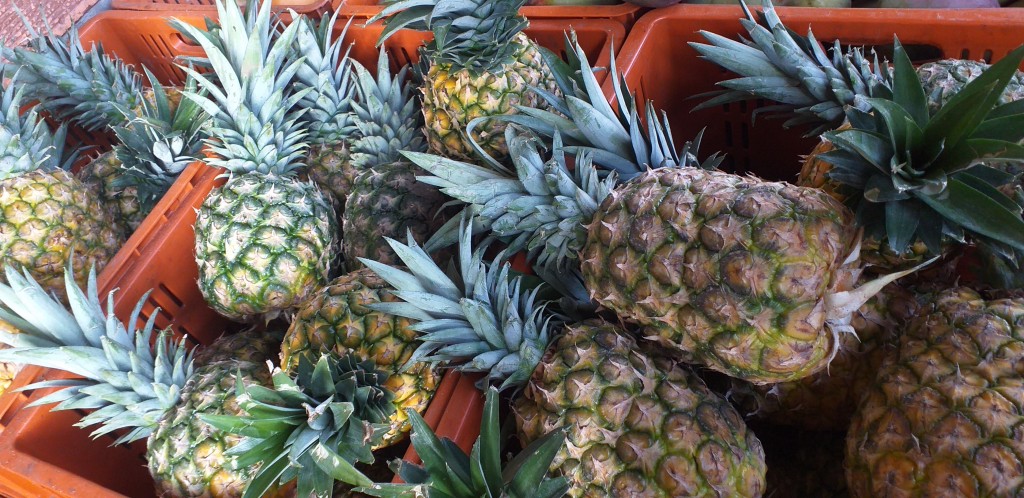 Piña oromiel