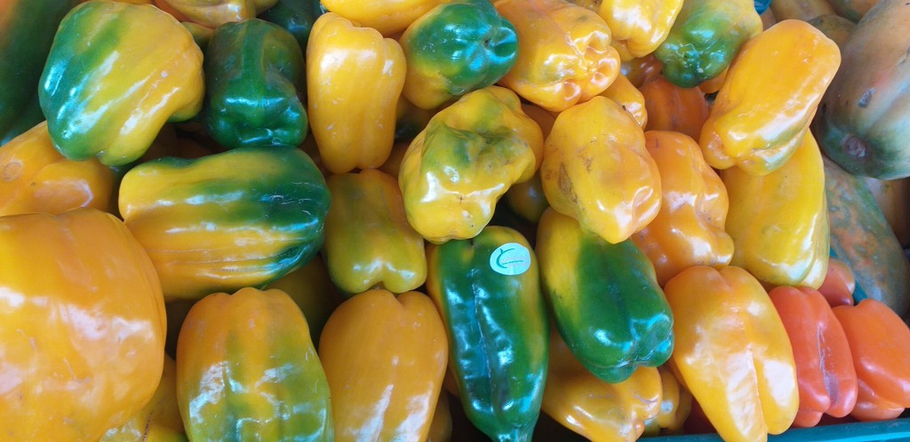 Pimenton amarillo