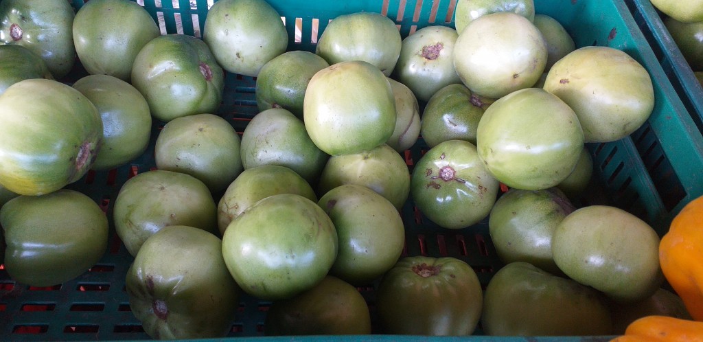 Tomate riñon